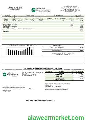 USA Deep East Texas Electric business utility bill template in Word and PDF formats